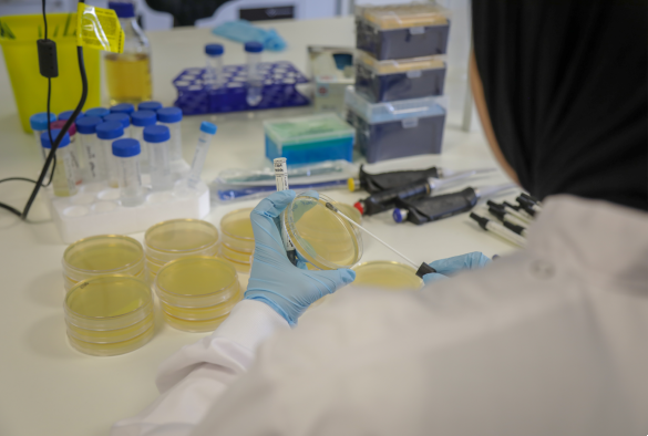 Plating-out-a-swab-collected-by-a-member-of-the-public-as-part-of-the-Swab-and-Send-project