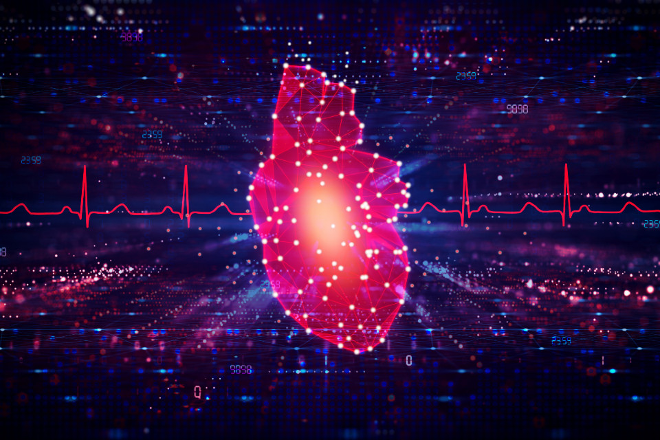 Vector image of a heart